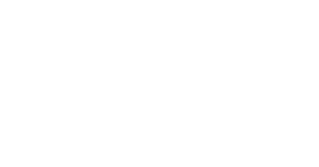 Logo Trendwave White